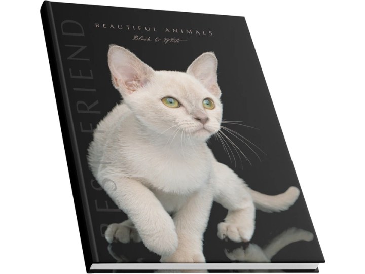 Канцелярська книга Аркуш А4 в кліти